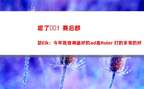 認了！賽后群訪Elk：今年我覺得最好的ad是Ruler 打的非常的好